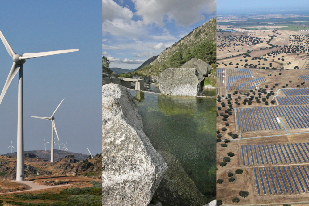 Leia mais sobre GENERG atribuiu um generoso apoio à Íris Inclusiva