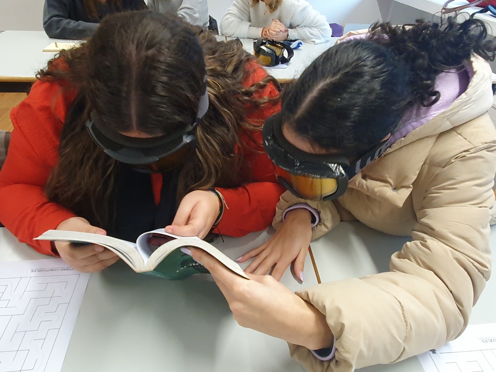 Leia mais sobre Escola Secundária de Ponte de Lima acolhe Íris